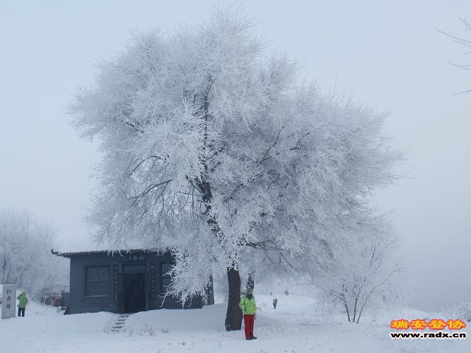 雪乡 845.jpg
