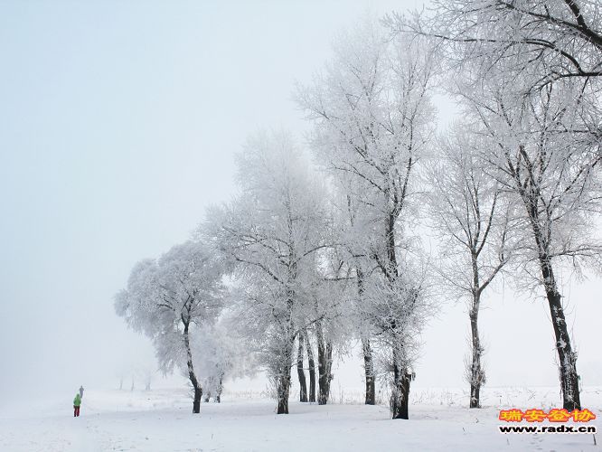 雪乡 992.jpg