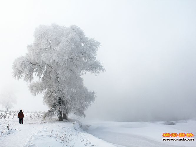 雪乡 989.jpg