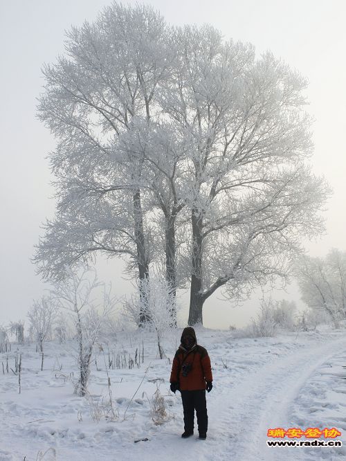 雪乡 913.jpg