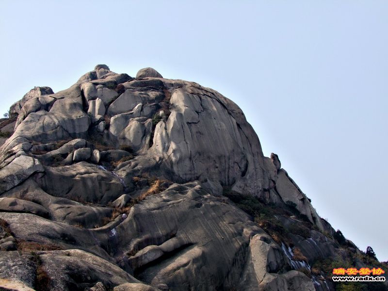 照片 (8).jpg