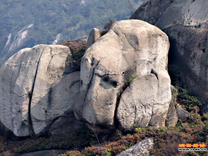 八戒