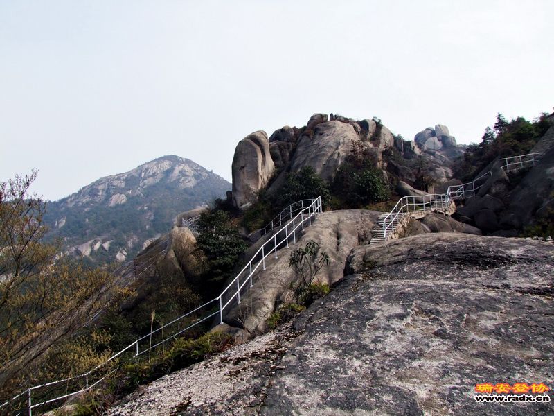 照片 (61).jpg