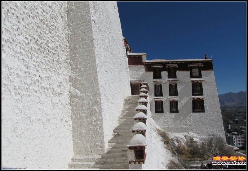 IMG_2603.JPG