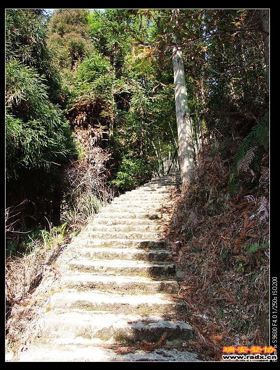 登山道