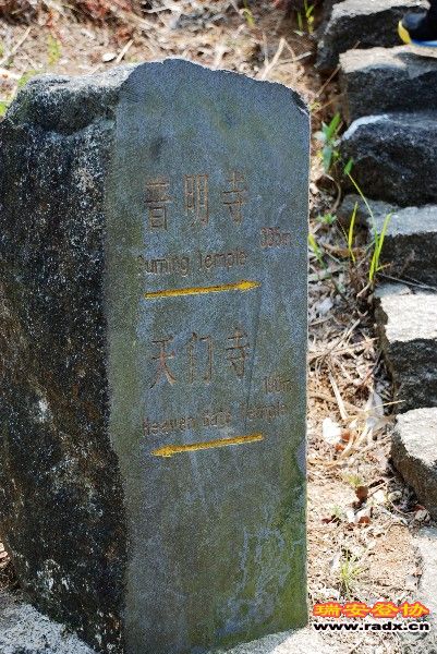 DSC_0117.jpg
