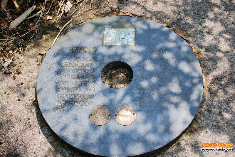 DSC_0140.jpg