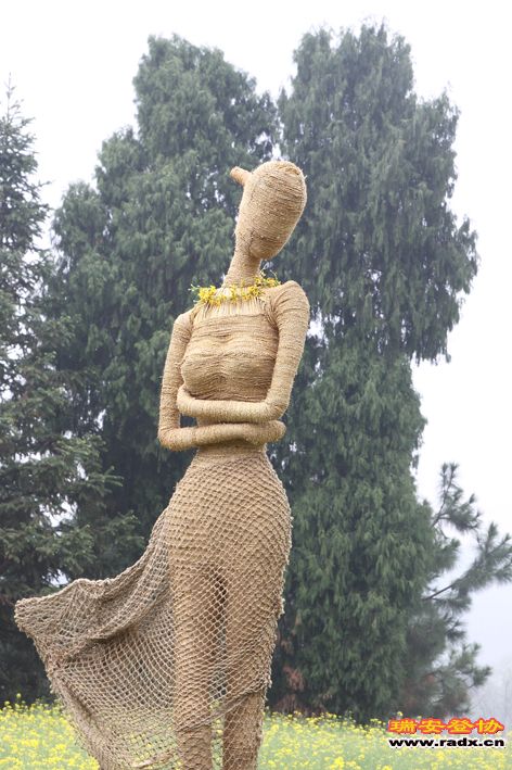 DPP_11100001113.JPG