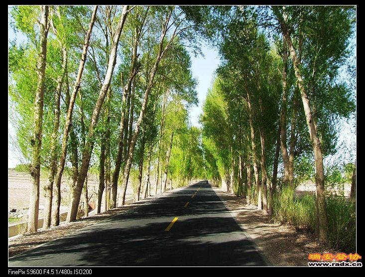 nEO_IMG_DSCF2010.jpg