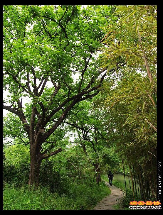 nEO_IMG_DSCF2494.jpg