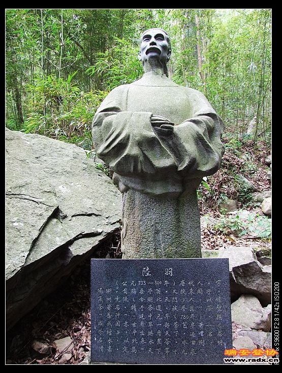 陆羽