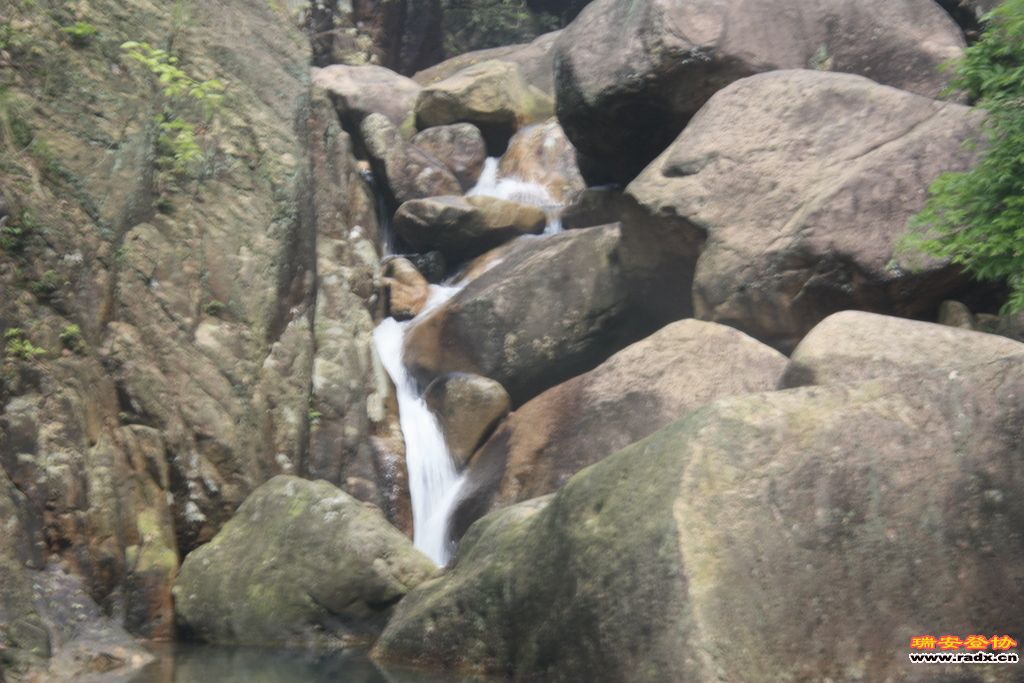 _MG_5687.JPG