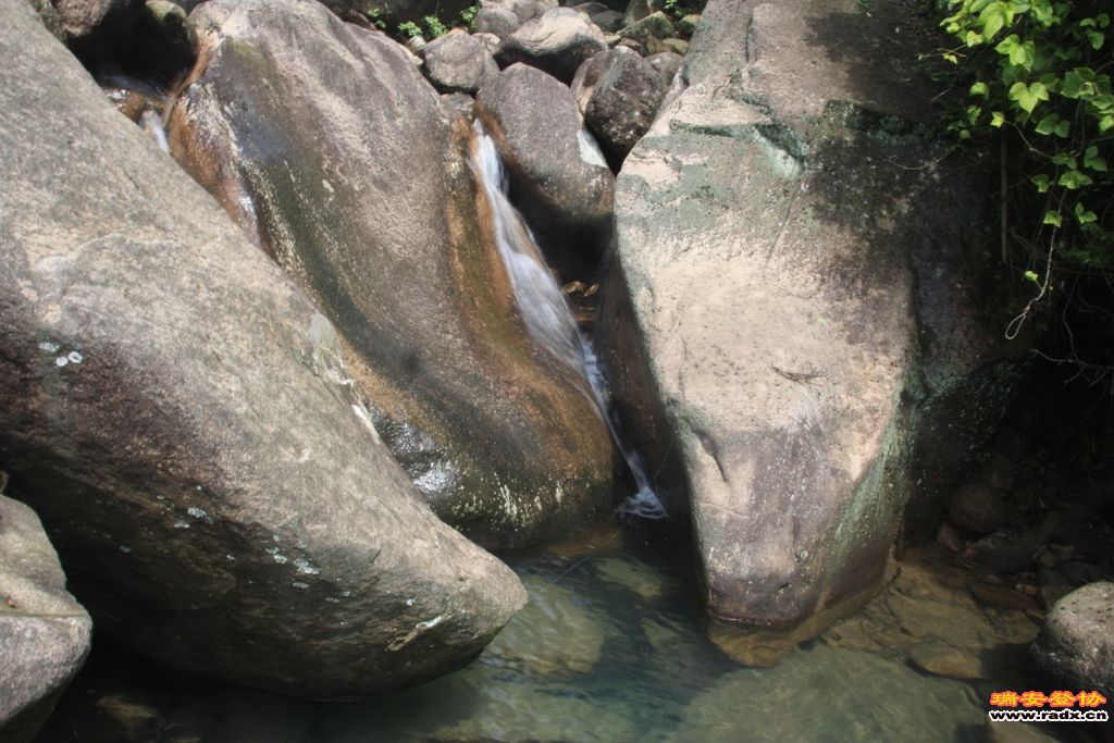 _MG_5736.JPG