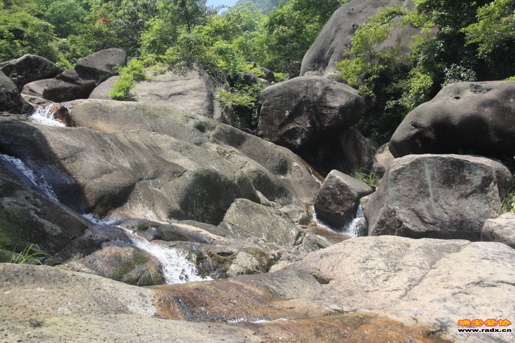 _MG_5742.JPG