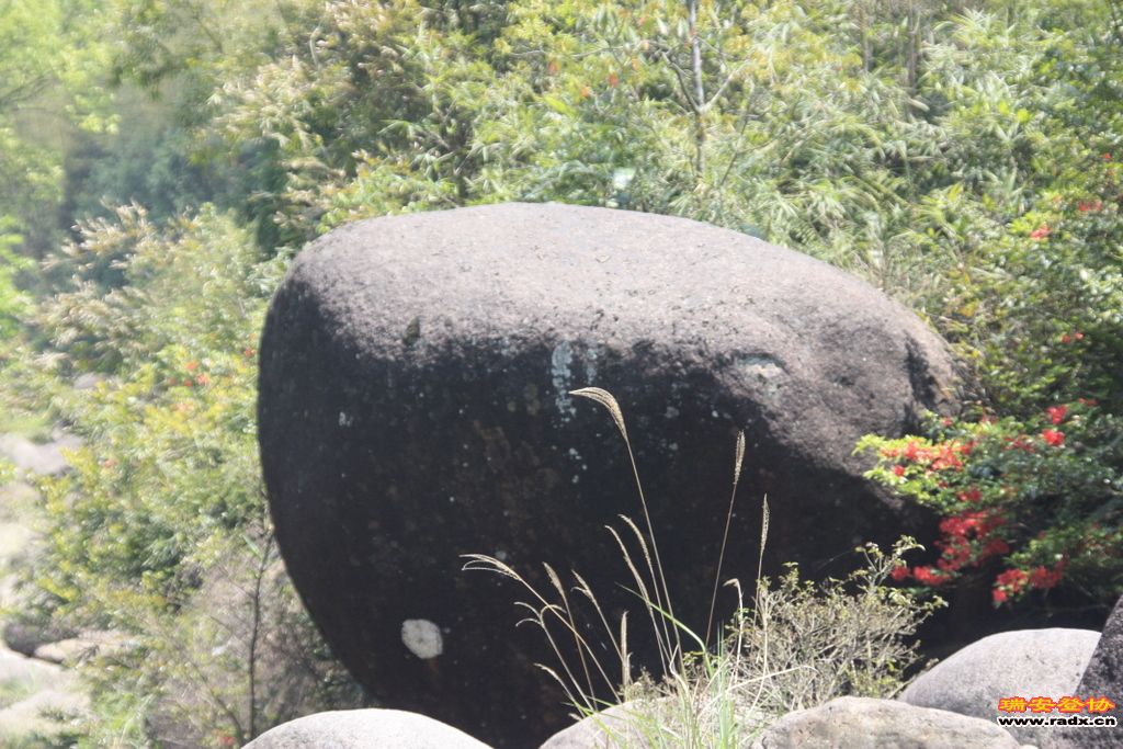 _MG_5796.JPG