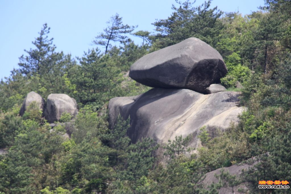 _MG_5823.JPG