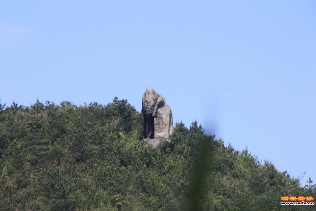 _MG_5824.JPG