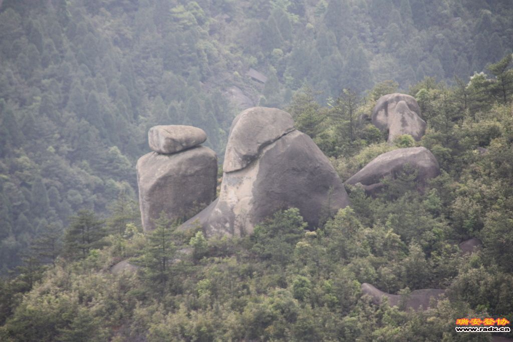 _MG_5902.JPG