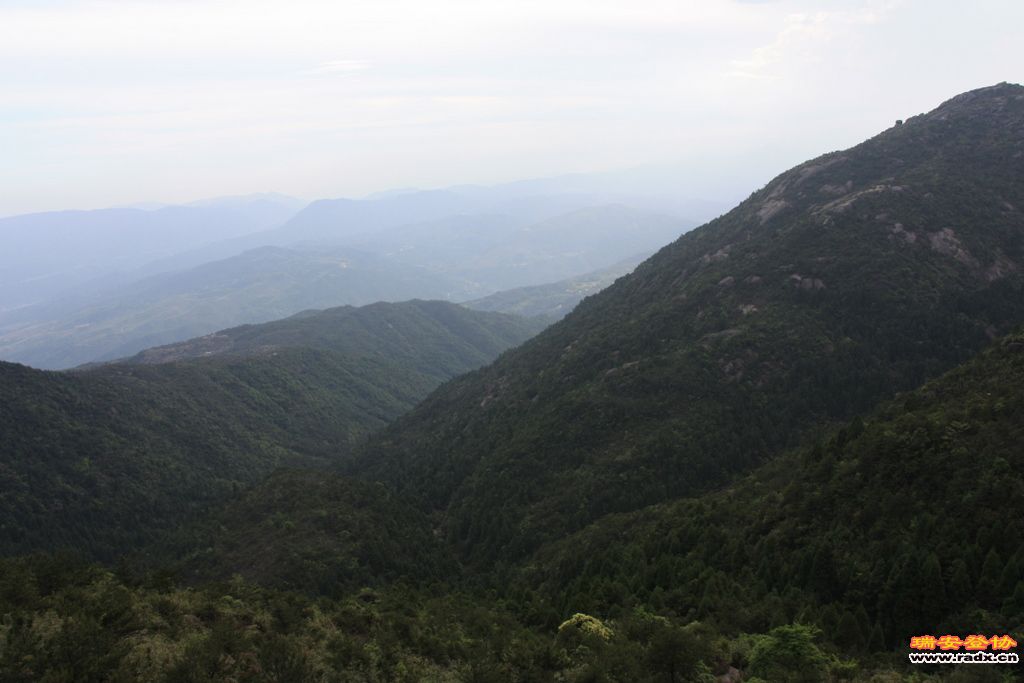 _MG_5907.JPG