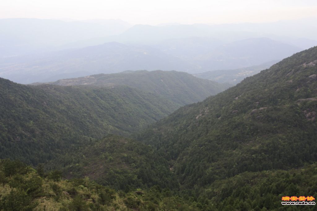 _MG_5927.JPG