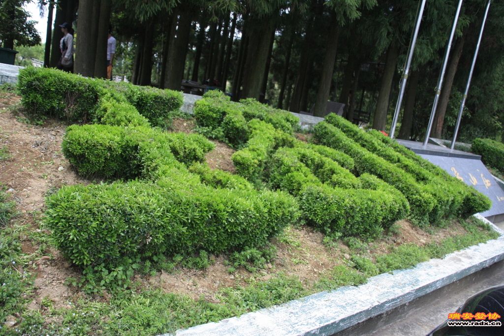 _MG_5973.JPG