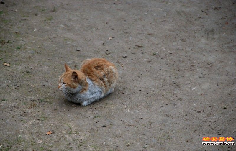 DSC_0060.JPG