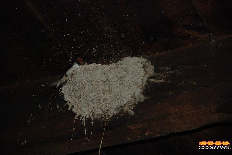 DSC_0025.JPG