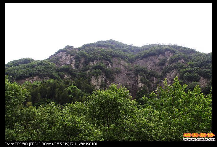 IMG_4575.JPG