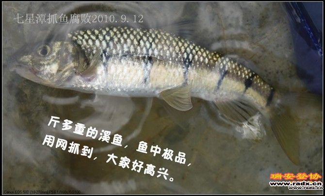 =