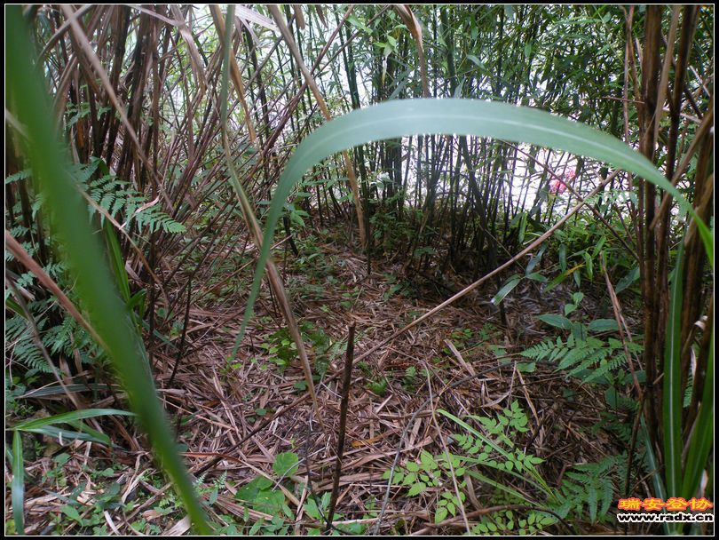 nEO_IMG_DSCF0175.jpg
