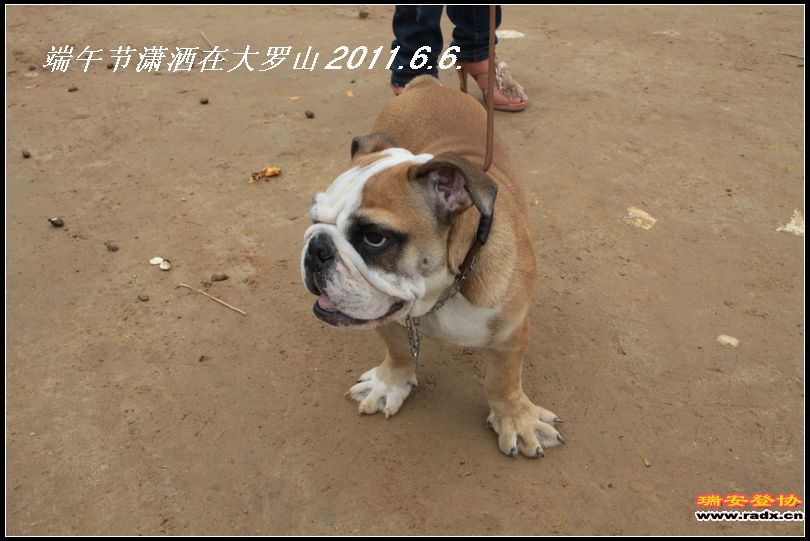 nEO_IMG_nEO_IMG_IMG_0013.jpg