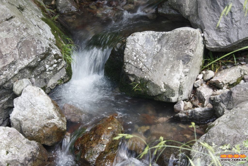 _MG_6984.JPG