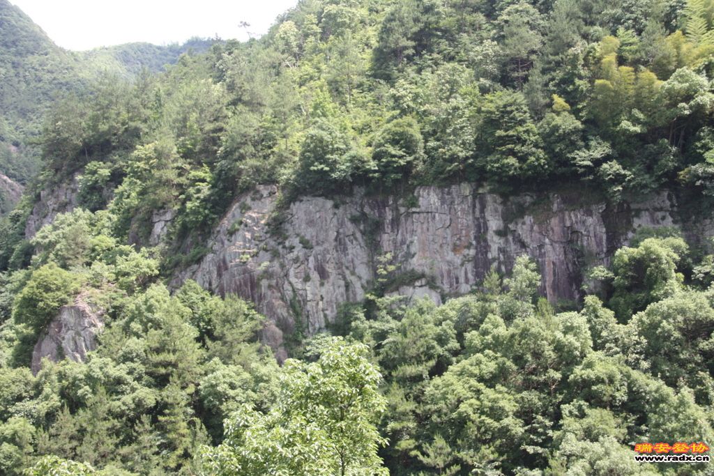 IMG_7058.JPG