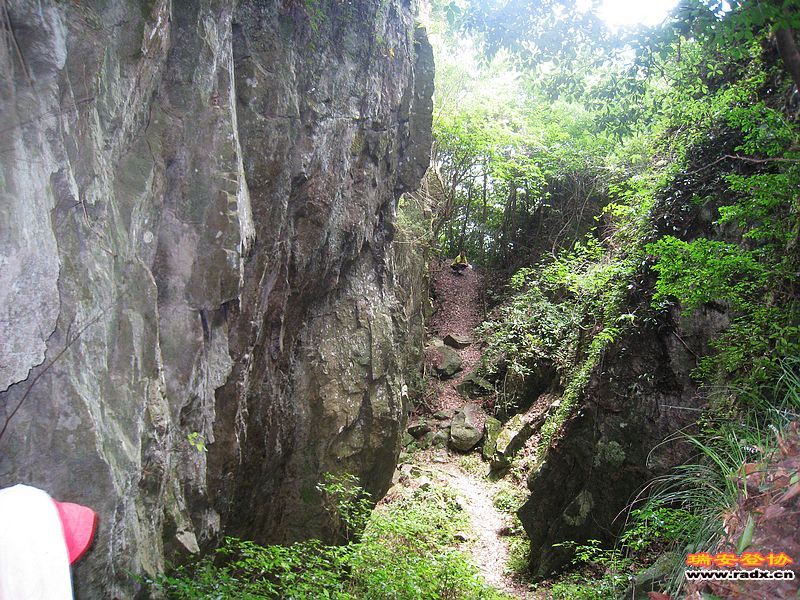 IMG_5017.jpg