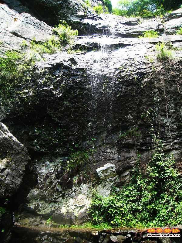 IMG_5027.jpg