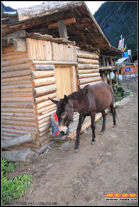 135.jpg