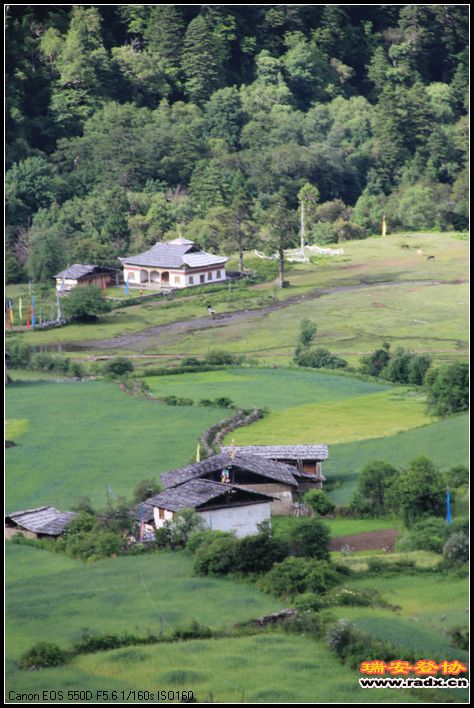 182.jpg