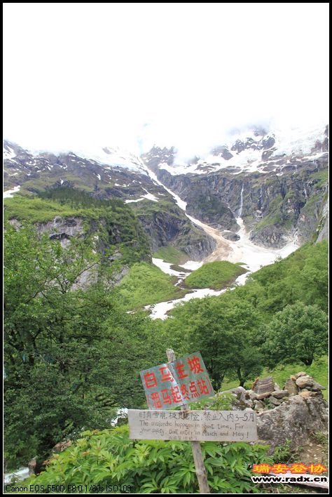 244.jpg