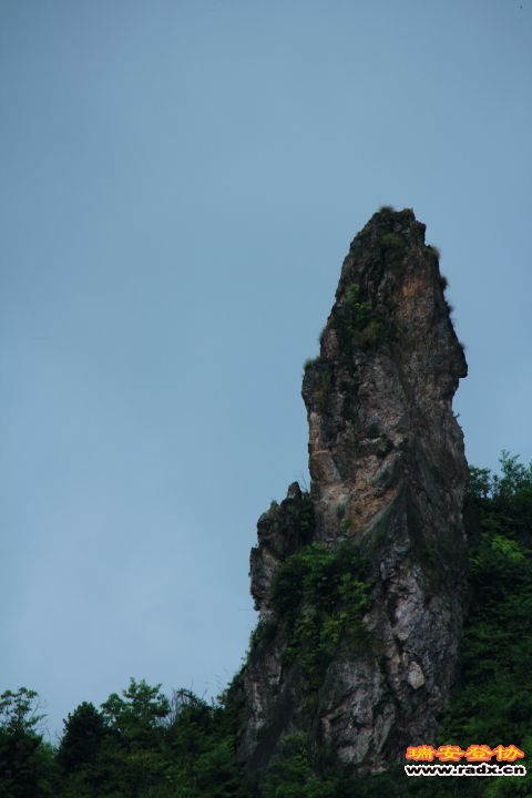 IMG_3483.JPG
