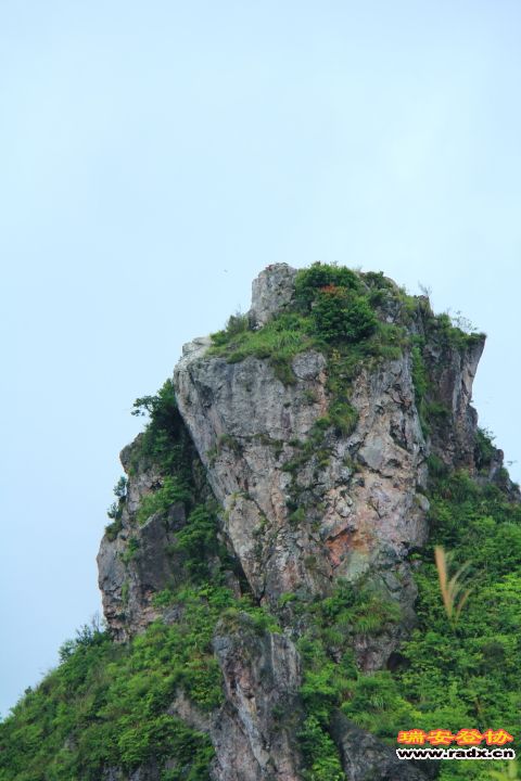 IMG_3484.JPG