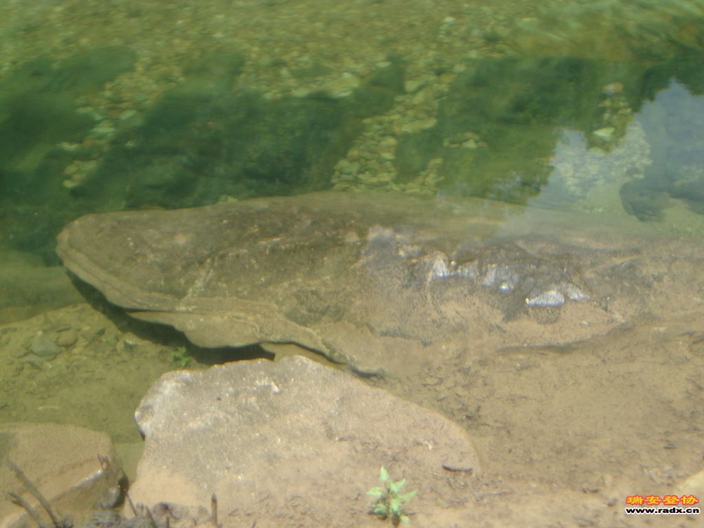 DSC03861.JPG