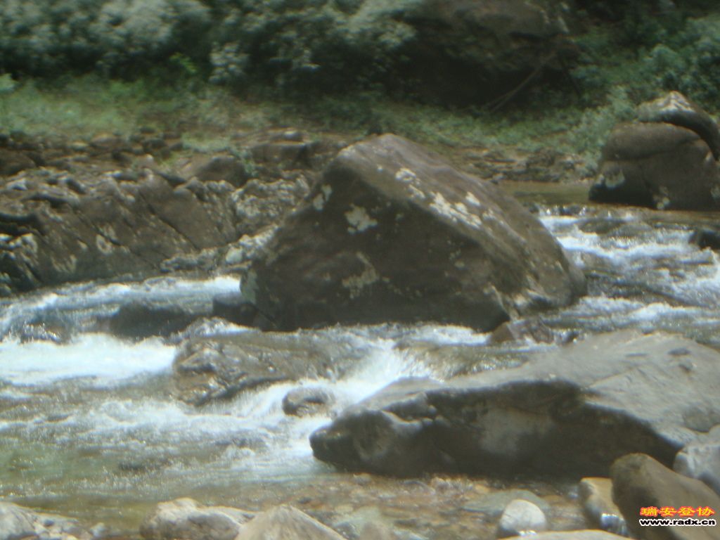 DSC03874.JPG