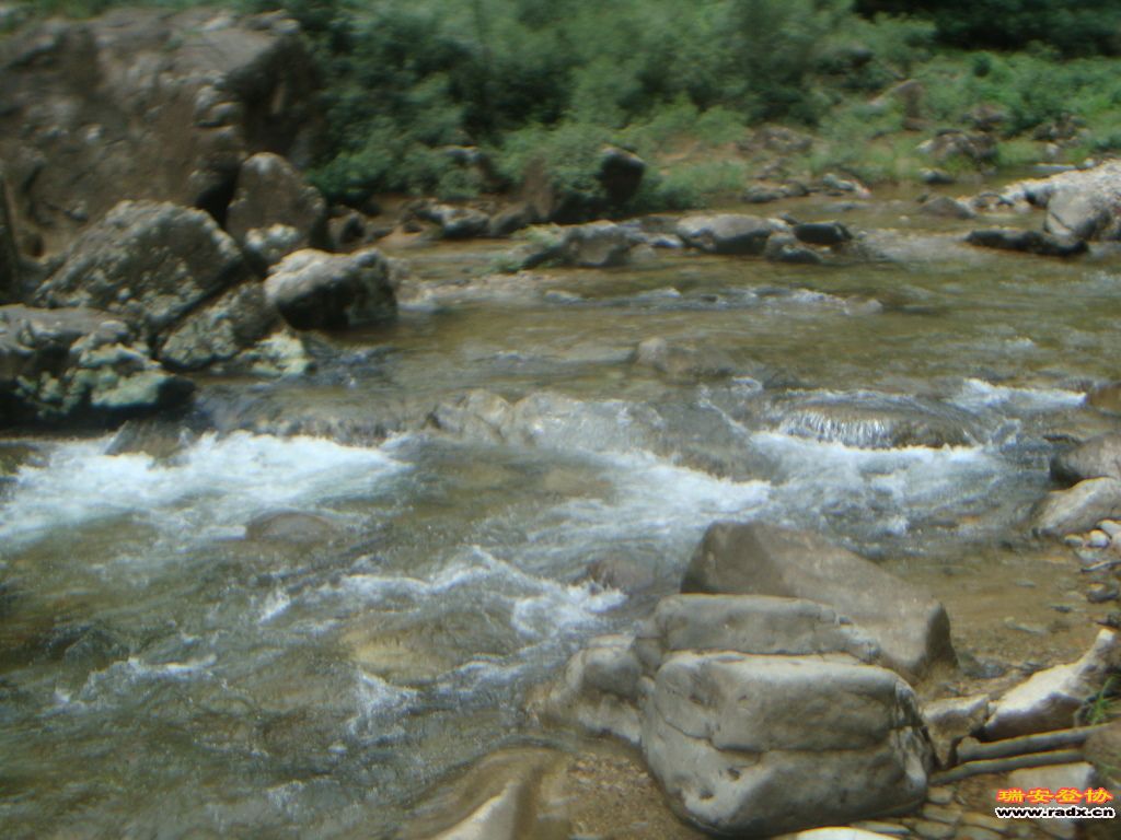 DSC03876.JPG