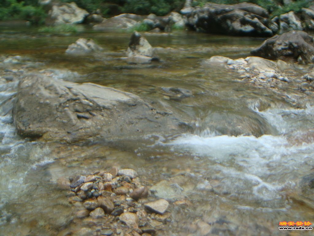 DSC03877.JPG