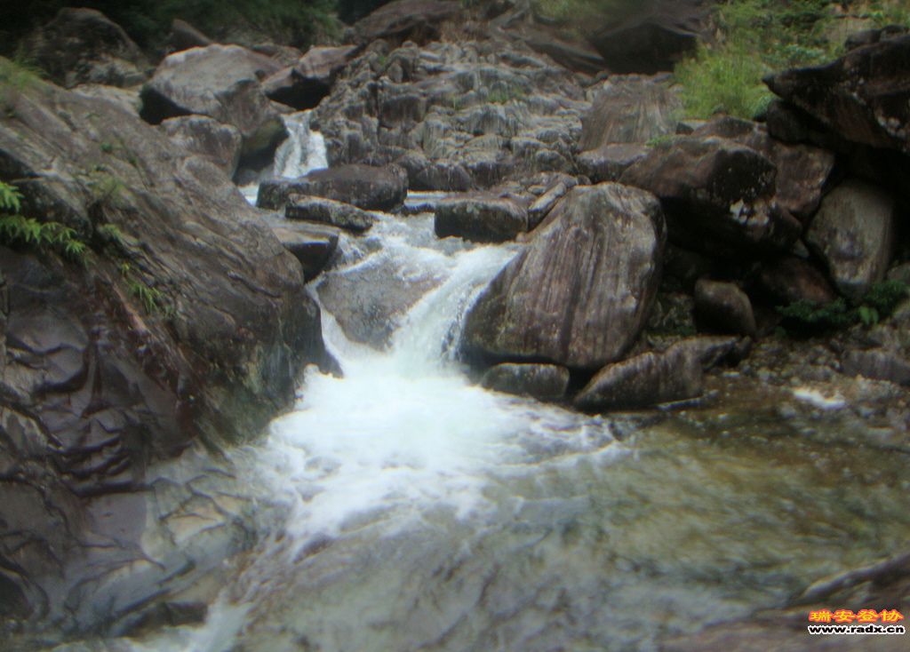 DSC03914.JPG