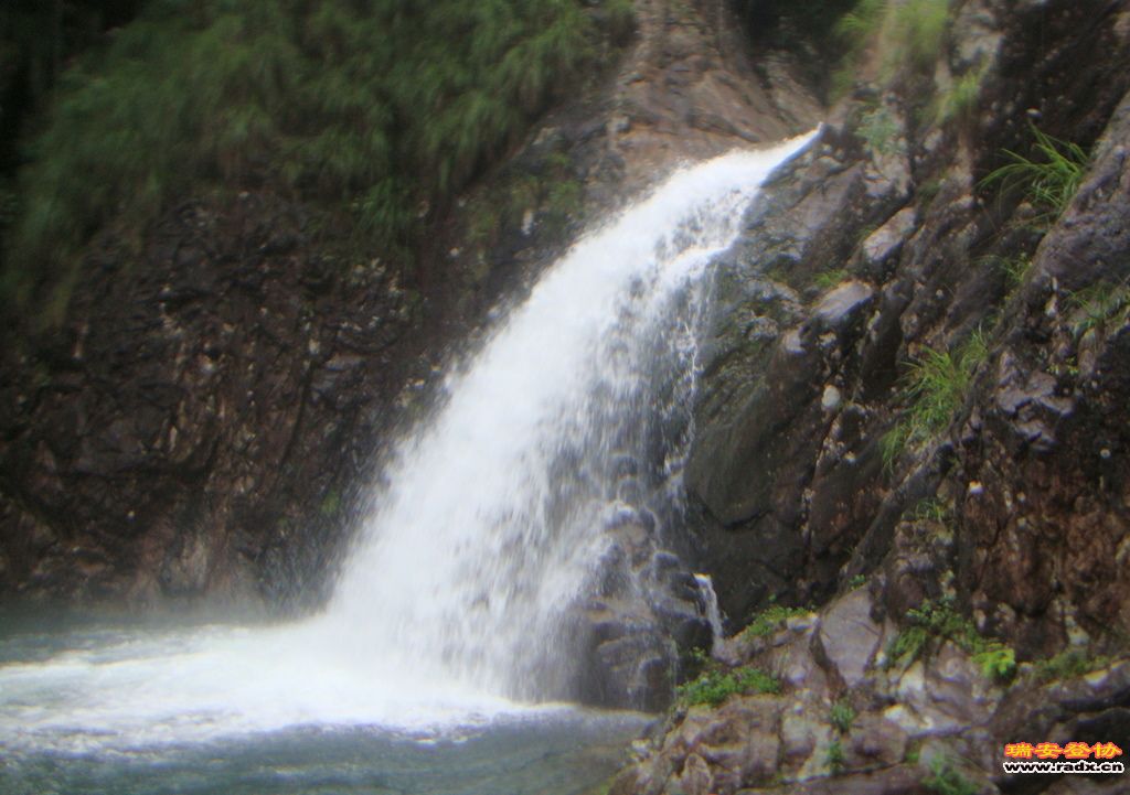 DSC03931.JPG