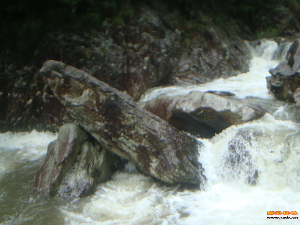 DSC03941.JPG