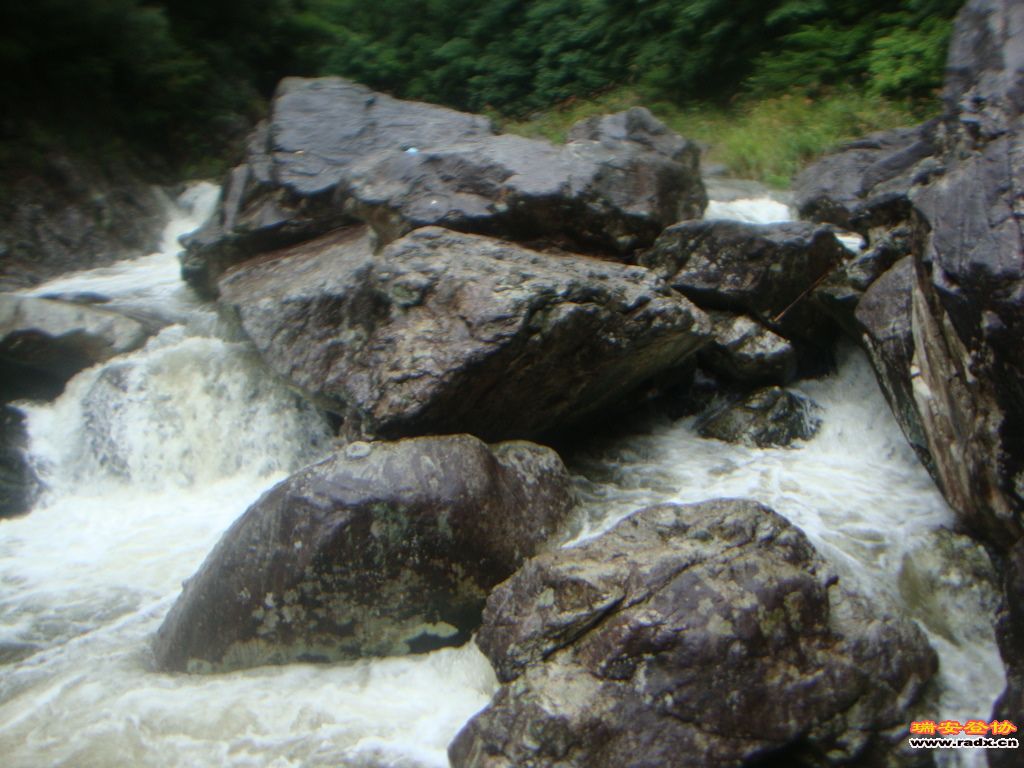DSC03939.JPG