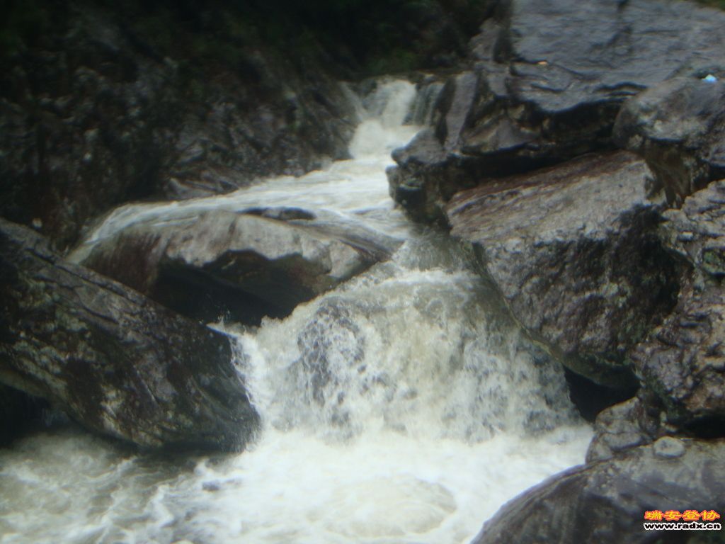 DSC03942.JPG