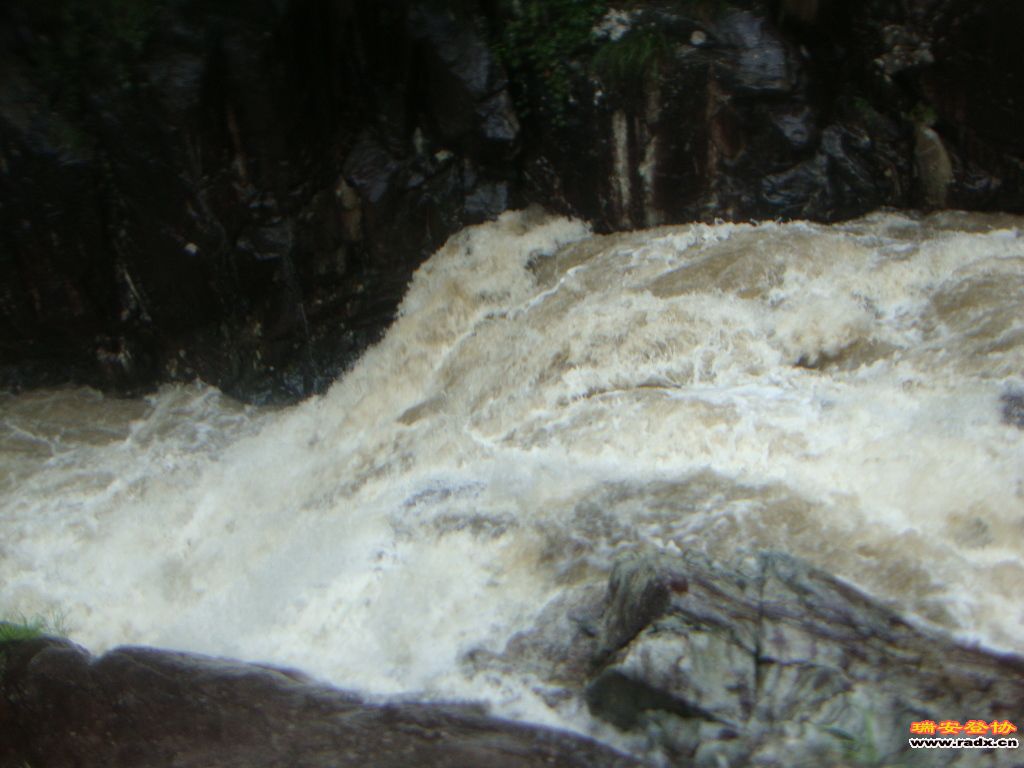 DSC03953.JPG